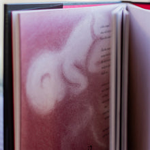 Baby Verses: The Narrative Poetry of Infants and Toddlers